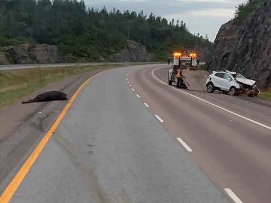 Sortie de route et accident avec un orignal 